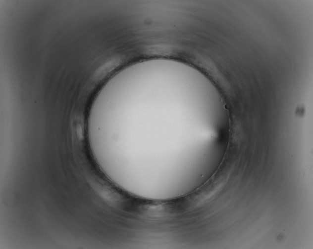 X0000101700068200807241442