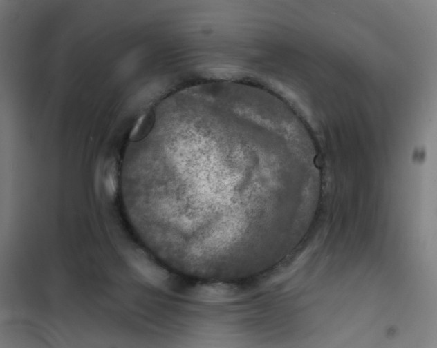 X0000101700069200807241442