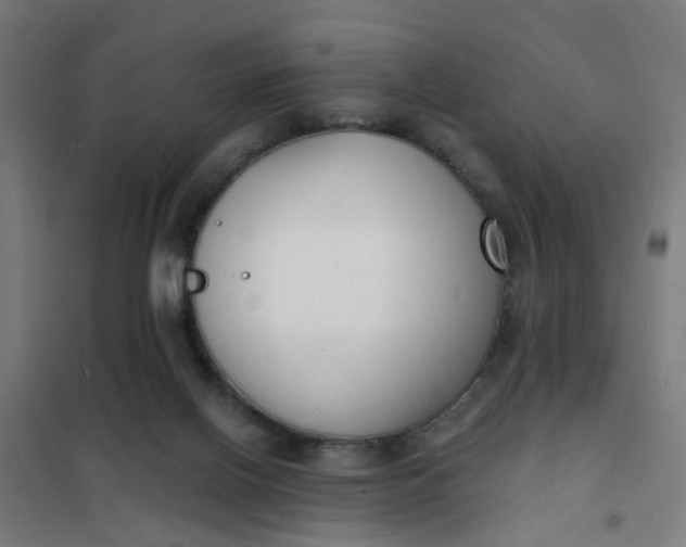 X0000101700070200807241442