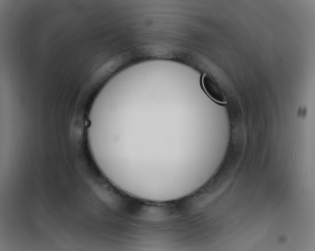 X0000101700072200807241443