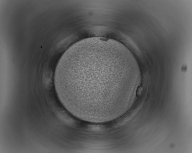 X0000101700073200807241443