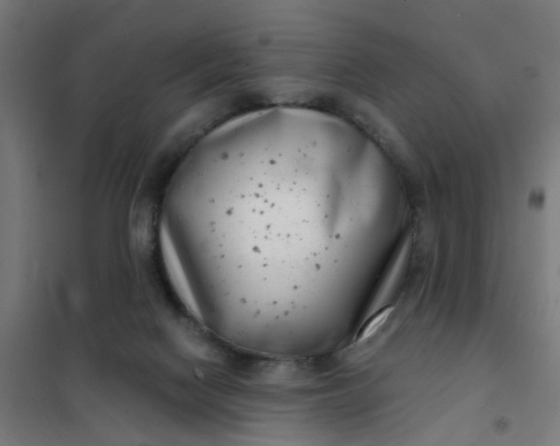 X0000101700074200807241443