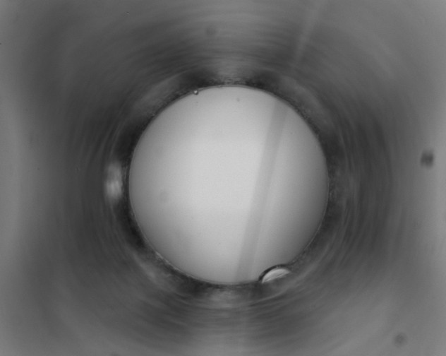 X0000101700075200807241443