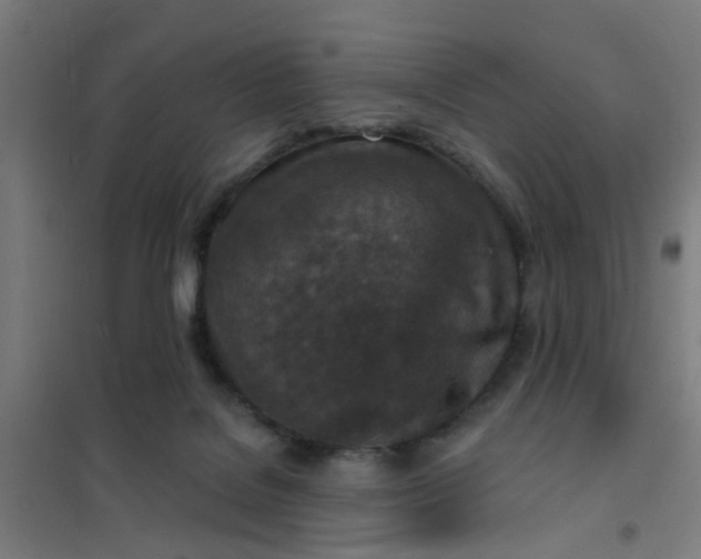 X0000101700076200807241443