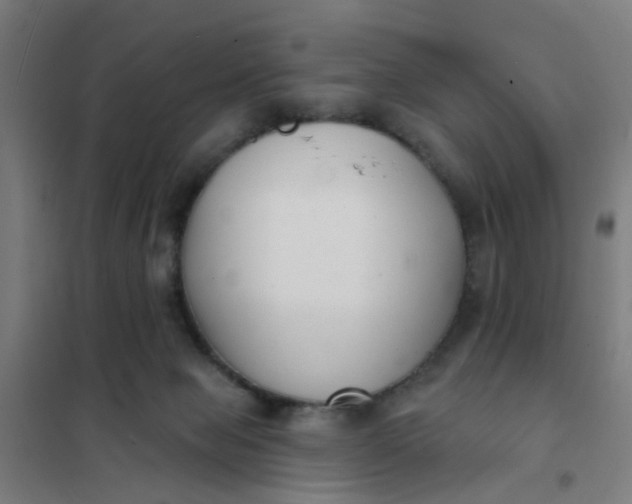 X0000101700077200807241443