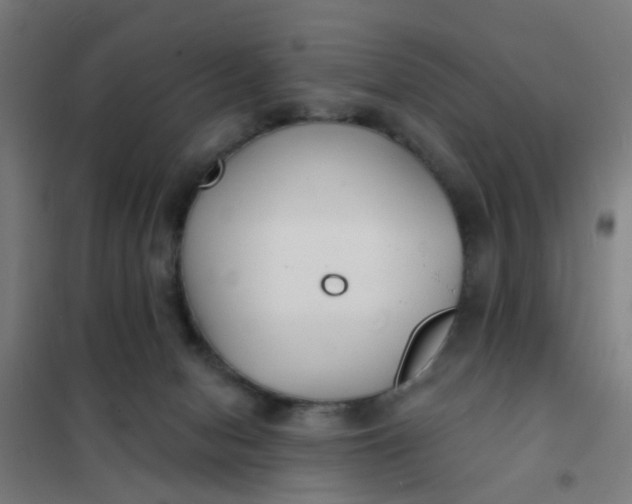 X0000101700078200807241443