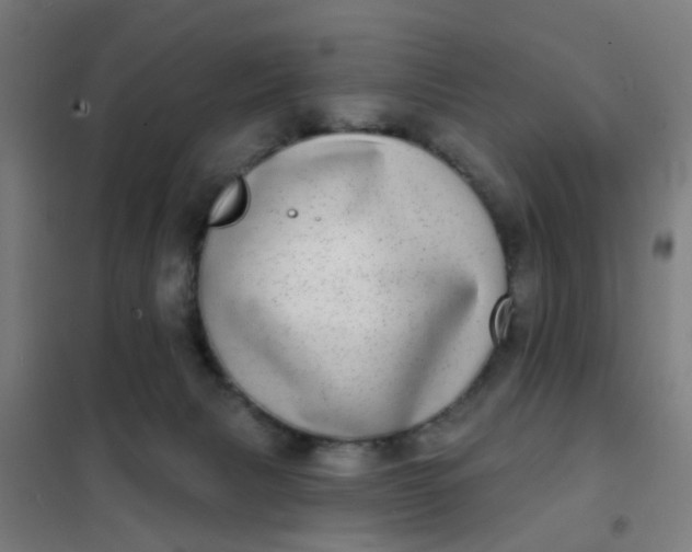 X0000101700079200807241443