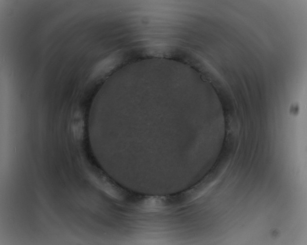 X0000101700080200807241443