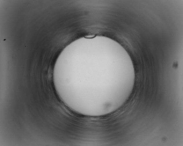 X0000101700081200807241443