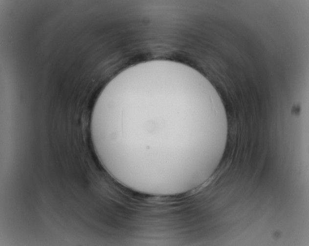 X0000101700082200807241443