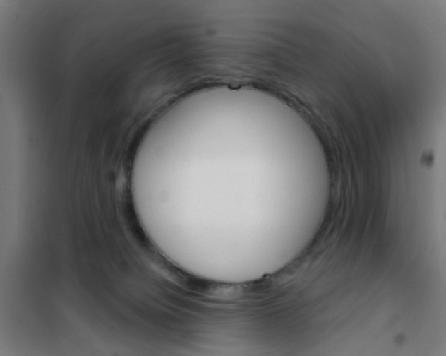 X0000101700084200807241443