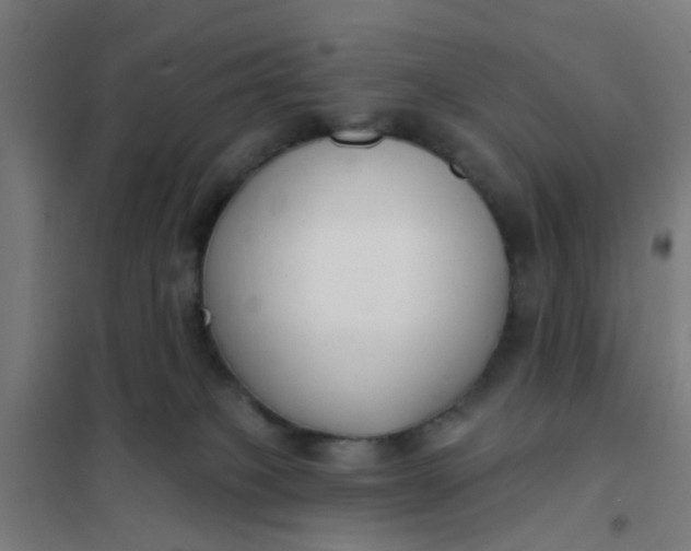 X0000101700085200807241443