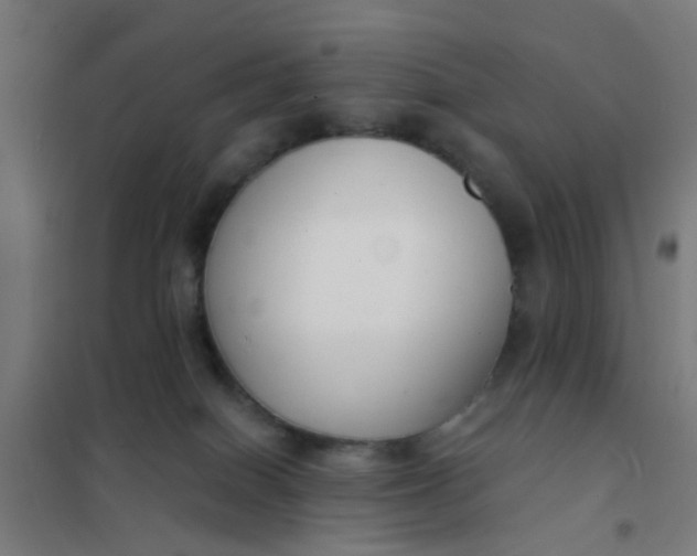 X0000101700086200807241443