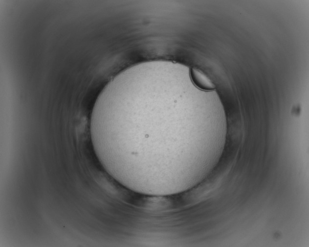 X0000101700087200807241443