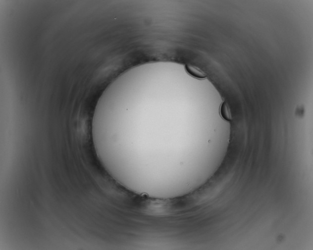 X0000101700088200807241443