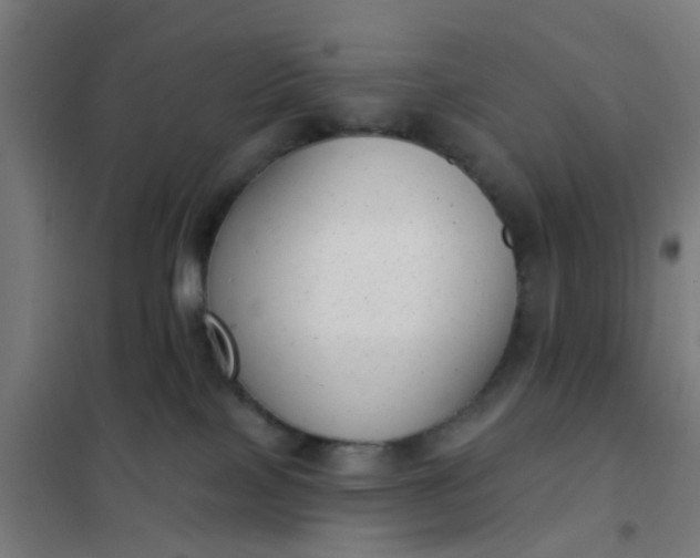 X0000101700089200807241443