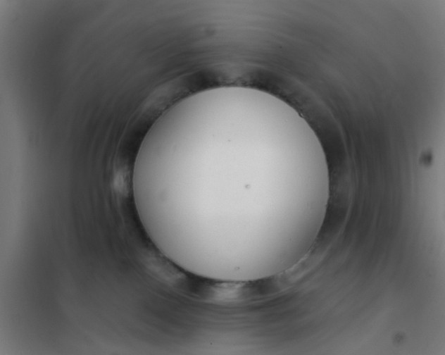 X0000101700090200807241443