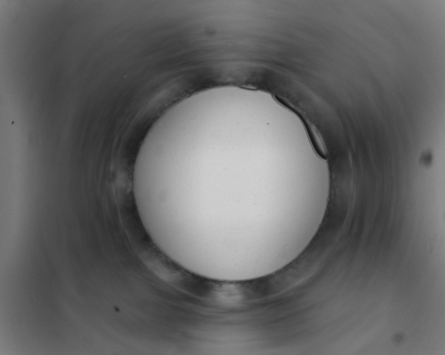 X0000101700091200807241443