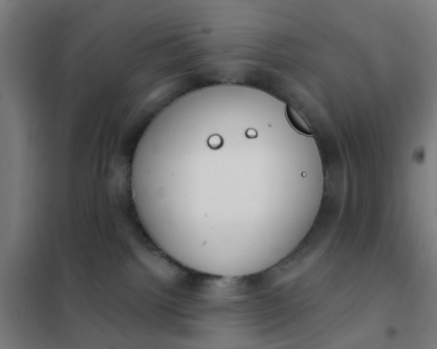 X0000101700092200807241443