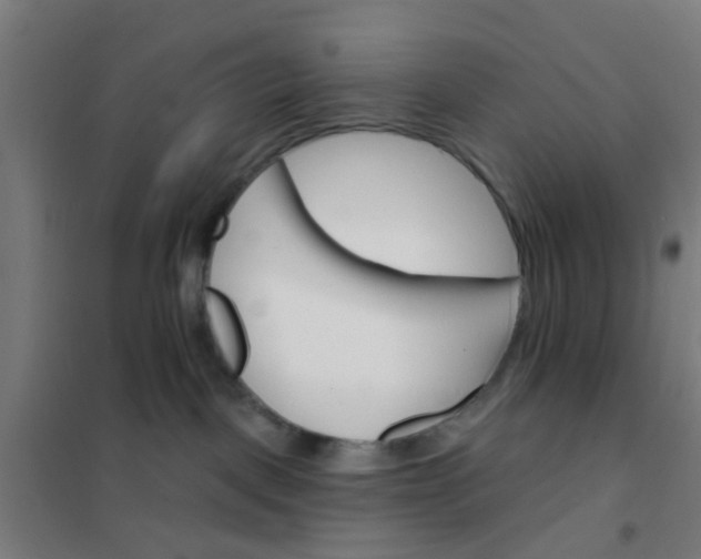 X0000101700093200807241443