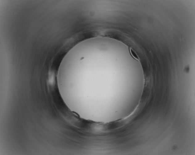 X0000101700094200807241443