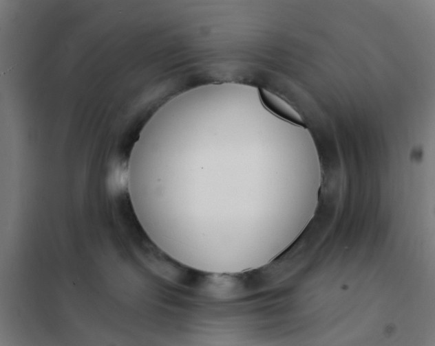 X0000101700095200807241443