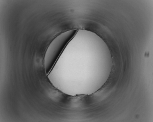 X0000101700096200807241443