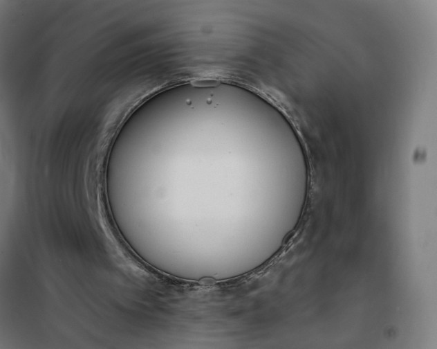 X0000101700097200807241442