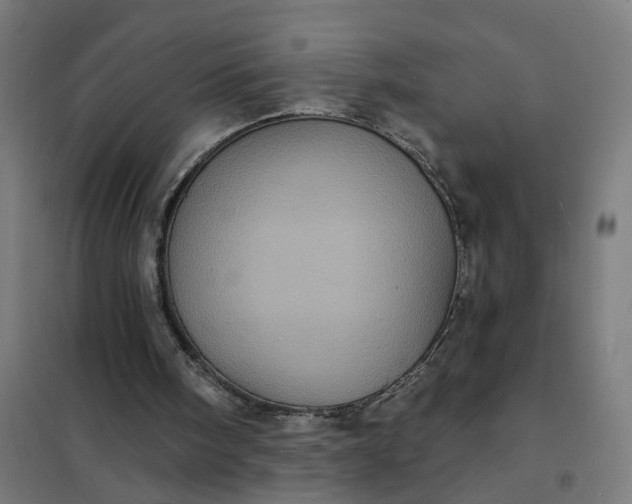 X0000101700098200807241442