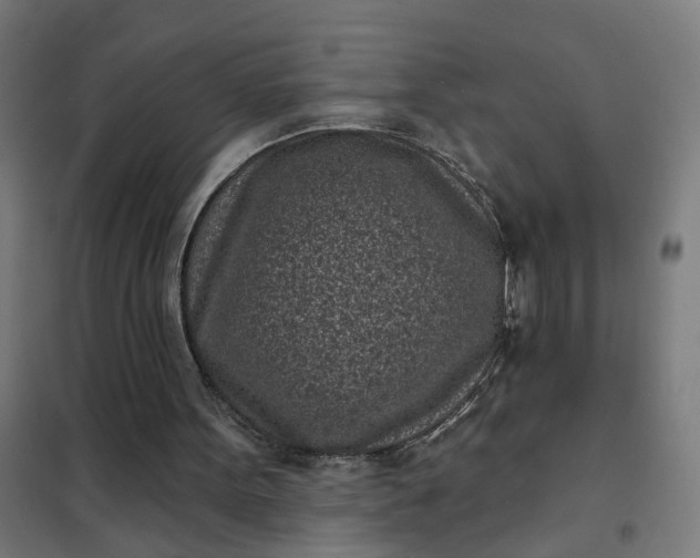 X0000101700099200807241442