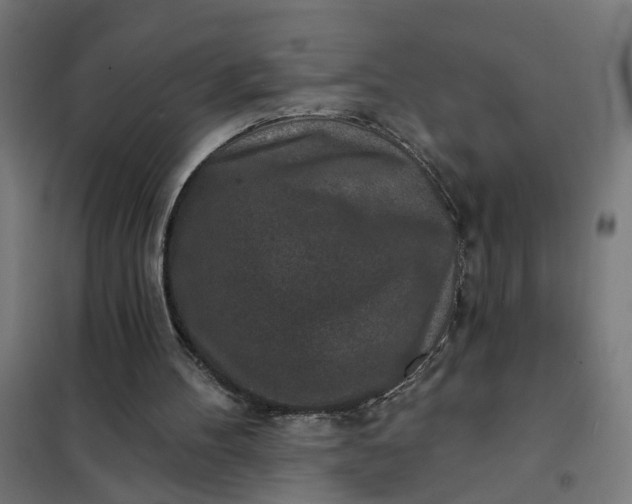 X0000101700100200807241442