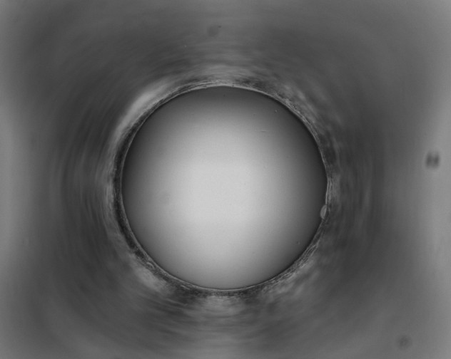 X0000101700101200807241442