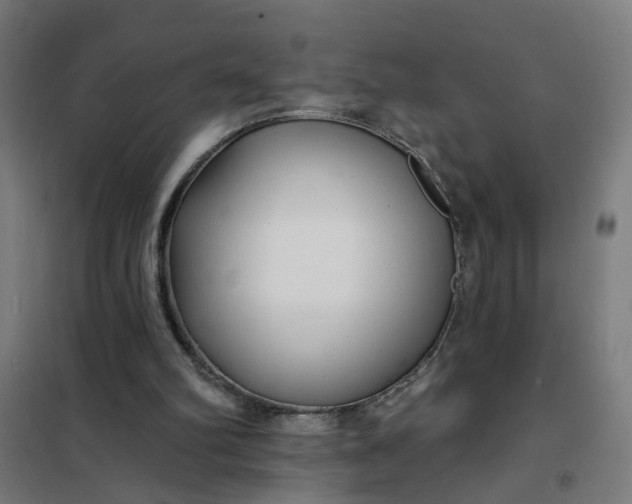 X0000101700102200807241442