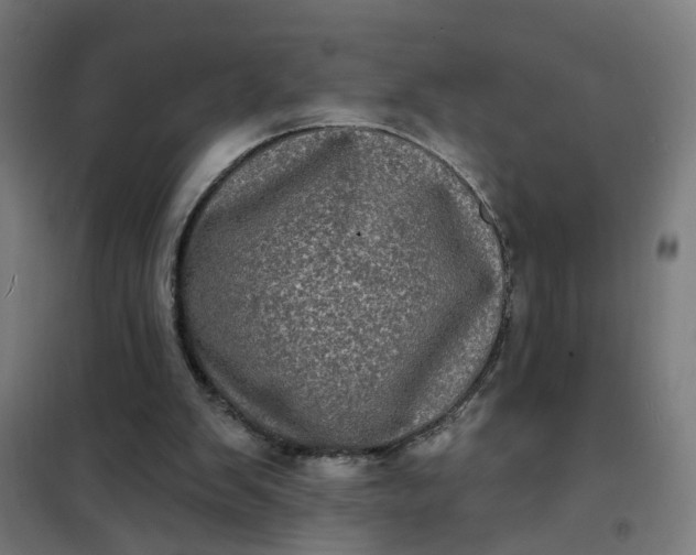 X0000101700103200807241442