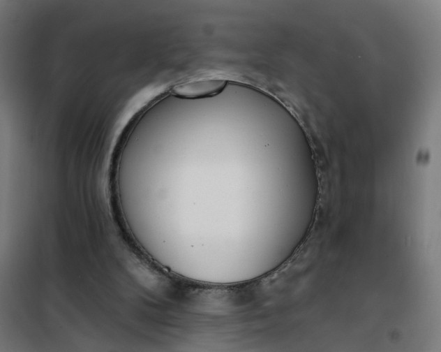 X0000101700104200807241442