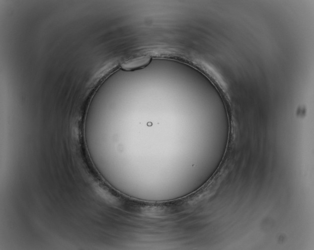 X0000101700105200807241442