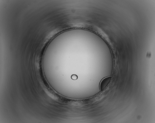 X0000101700106200807241442