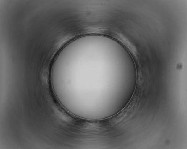 X0000101700107200807241442