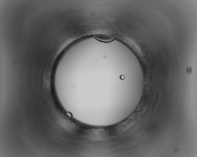 X0000101700108200807241442