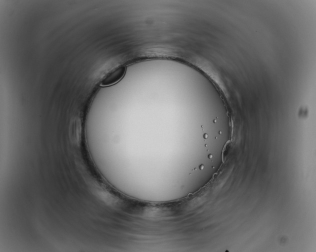 X0000101700109200807241442