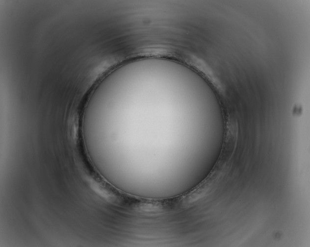 X0000101700110200807241442