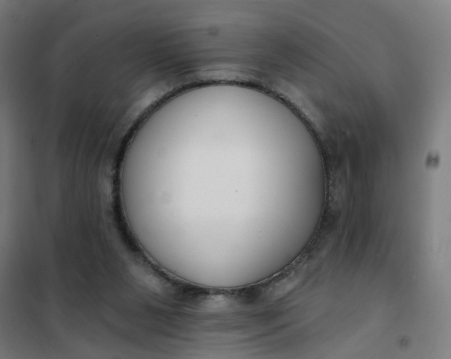 X0000101700111200807241442