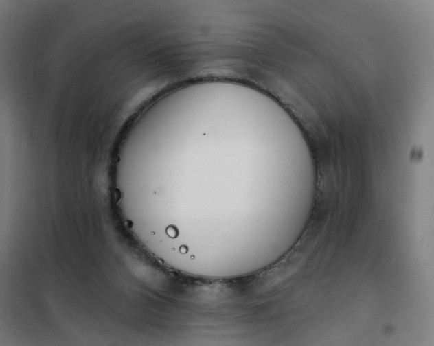 X0000101700112200807241442