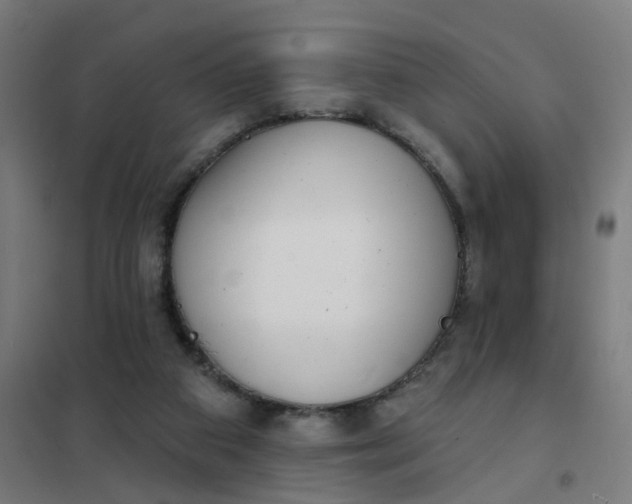 X0000101700113200807241442