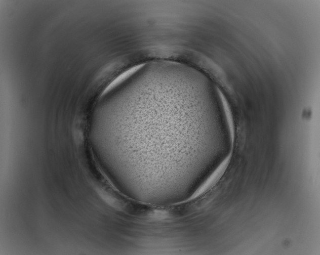 X0000101700114200807241442