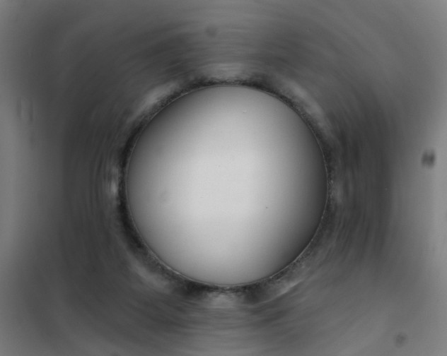 X0000101700115200807241442