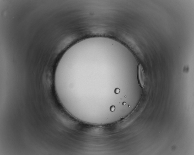 X0000101700116200807241442