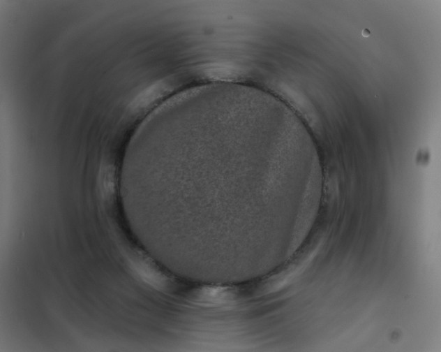 X0000101700117200807241442