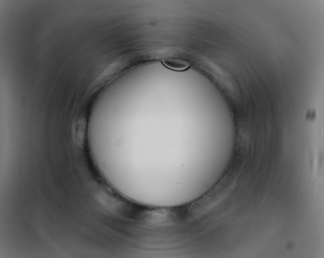 X0000101700118200807241442