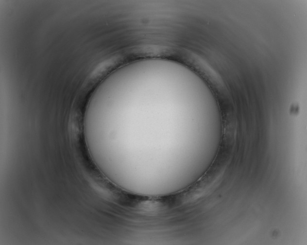 X0000101700119200807241442